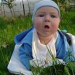 Polowanie na muchy...