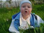 Polowanie na muchy...