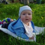 Co w trawie piszczy?