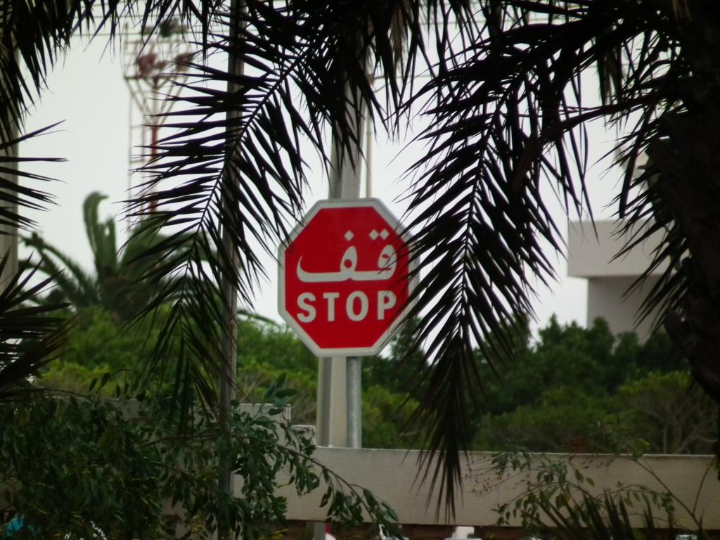 dscf3320