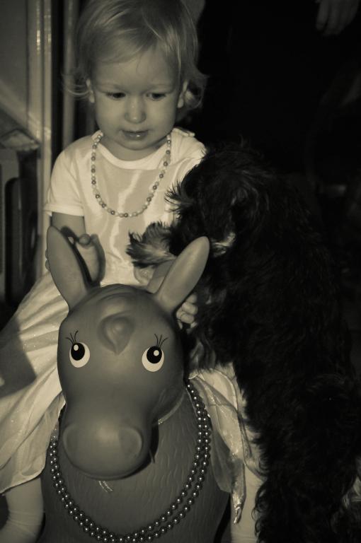 Dyzio też marzy o przejażdżce na ośle;)