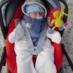 Może innych strzegą psy, mnie strzeże lew