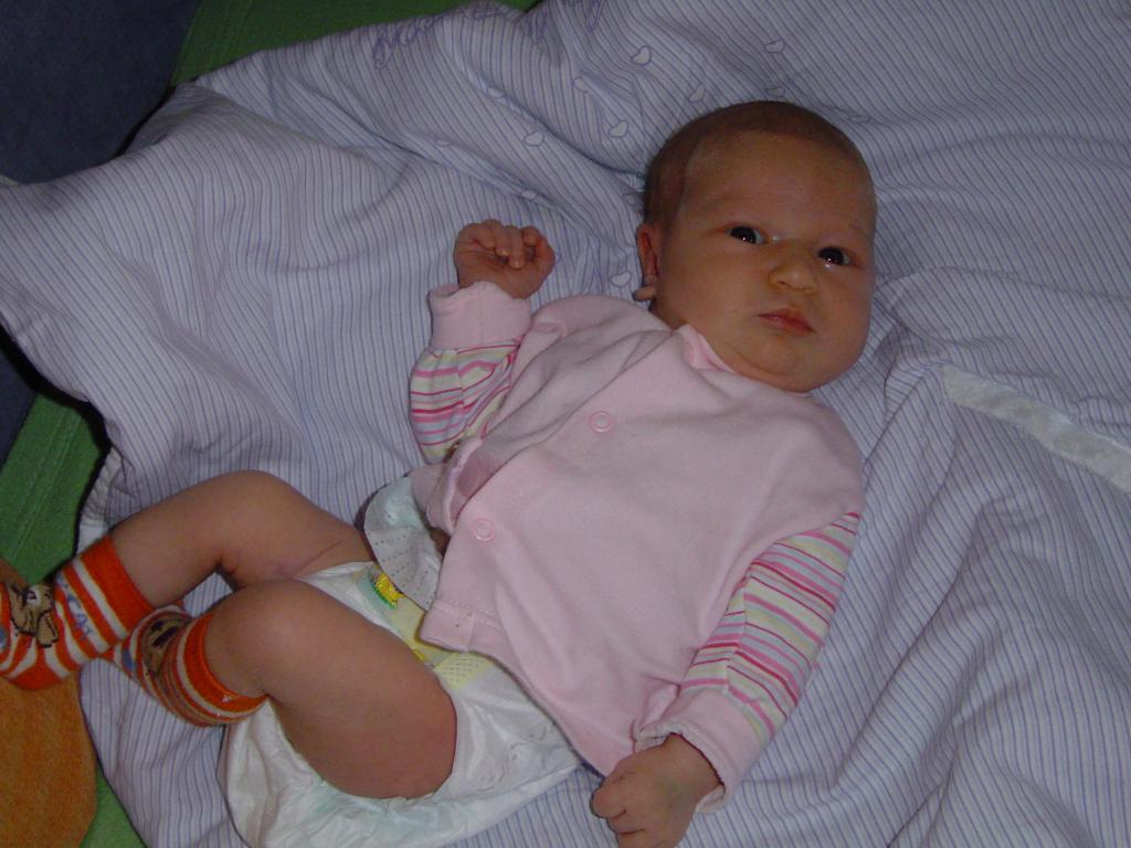 DSC07111