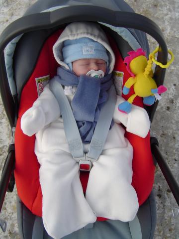 Może innych strzegą psy, mnie strzeże lew