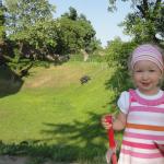 Rycerz potrzebuje konika!