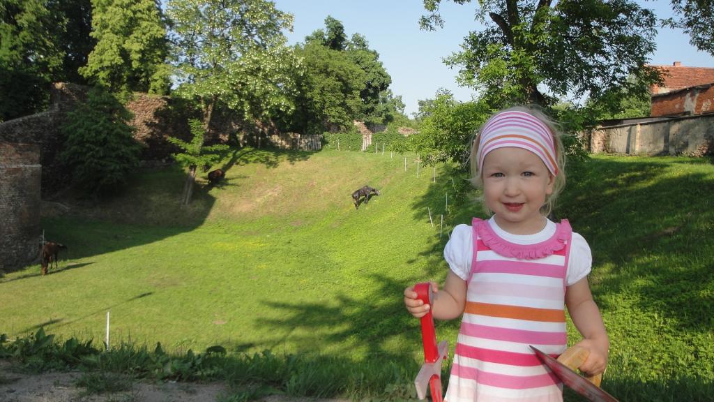 Rycerz potrzebuje konika!