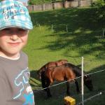 Rącze konie i Szymonek