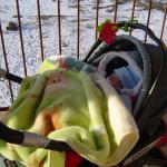 Ja na mrozie a oni w ciepłym domku