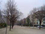 DSC05819