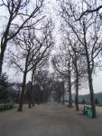 DSC05827