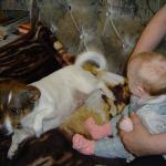 O rany, ten pluszak się rusza!