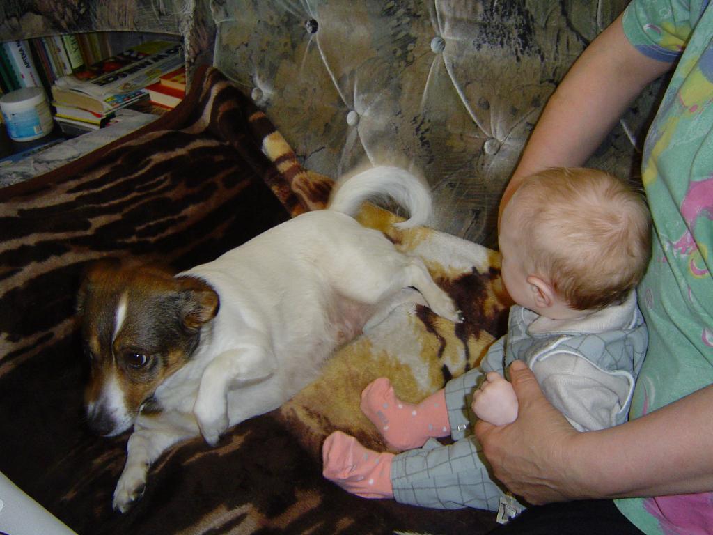 O rany, ten pluszak się rusza!