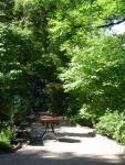Ogród Botaniczny