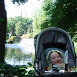 Piękny pan na pierwszy plan:)