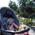 Budujemy mosty dla pana starosty...