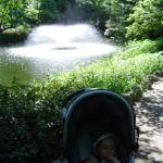 Normalne wodolejstwo...