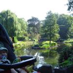 Ogród w całej okazałości...