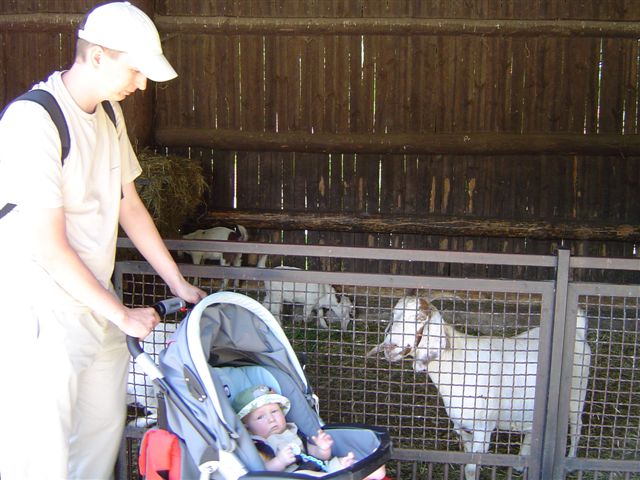 Zoologiczny dzieciniec...