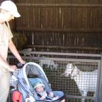 Zoologiczny dzieciniec...