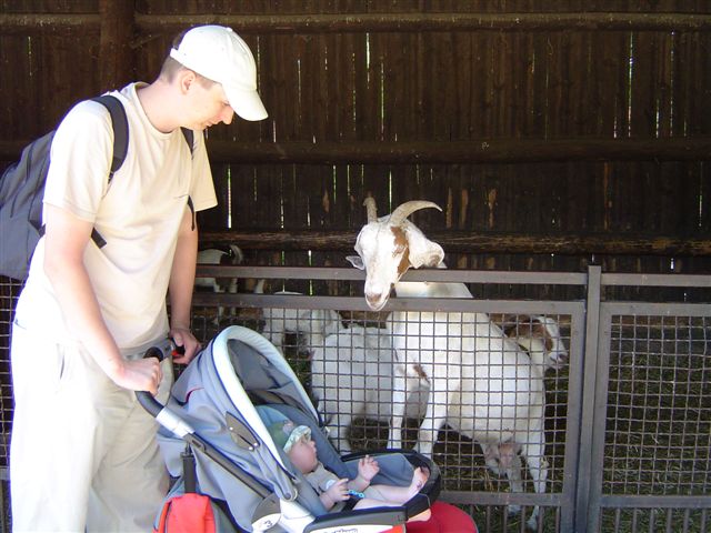 Patrzcie, patrzcie...