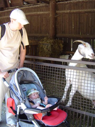 Ha, nagadałem jej...