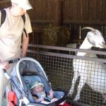 Ha, nagadałem jej...