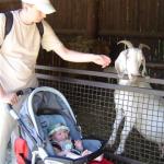 Tata próbuje ją ugłaskać...