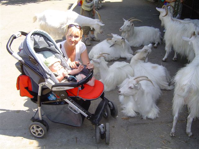 Ratunku, nic nie widzę....