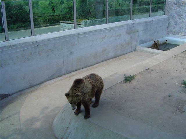 Ten z tyłu to ma fajnie...
