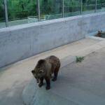 Ten z tyłu to ma fajnie...