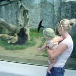 Mamo, a za co on stoi...