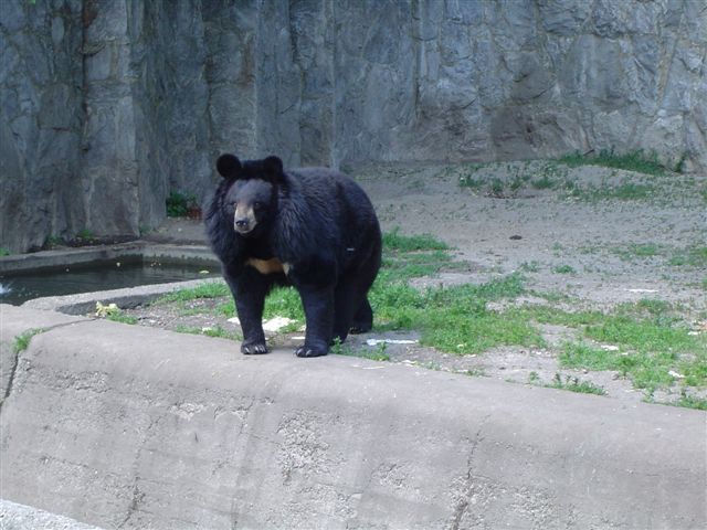 Ten wygląda bardzo groźnie...