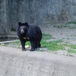 Ten wygląda bardzo groźnie...