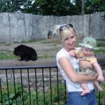 Miś udaje, że go wcale nie interesuję...