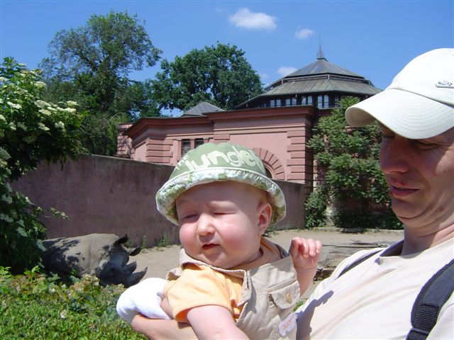 Taaa, ten nosorożec jest biały...