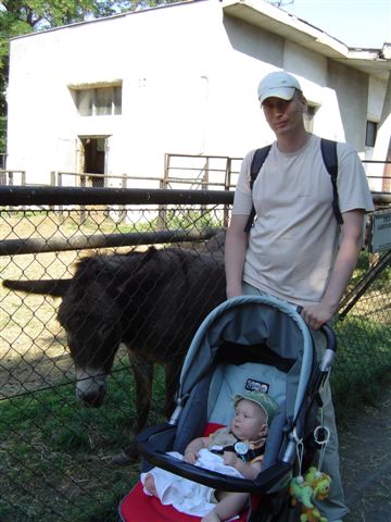 Eyeore, czyli osioł...