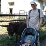 Eyeore, czyli osioł...