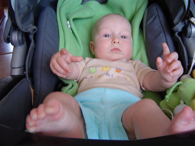 Z żabiej perspektywy wyglądam zupełnie jak...