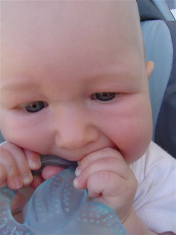 Trwa masaż dziąsełek