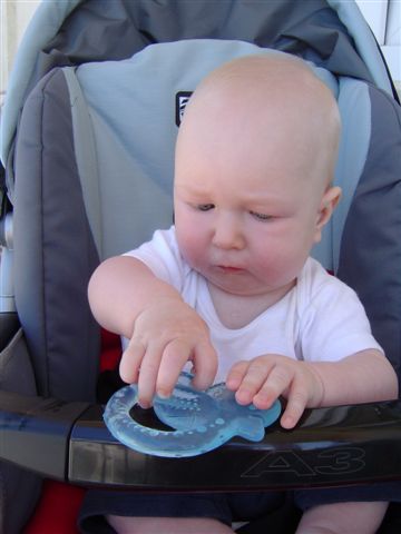 Operacja na otwartym gryzaczku...a