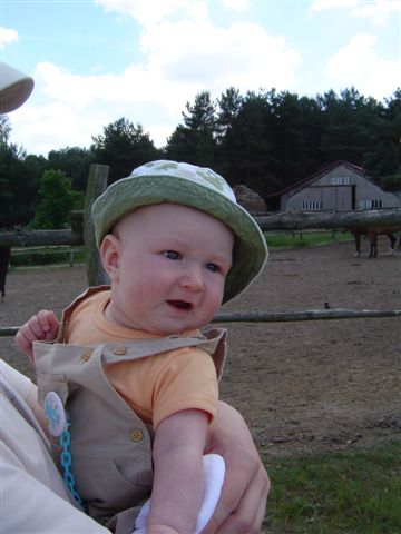 Będę miał mustanga..