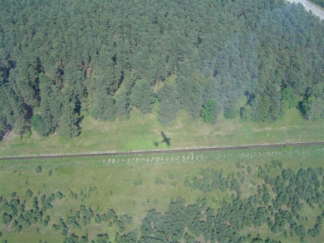 Mama leci tym cieniem:)