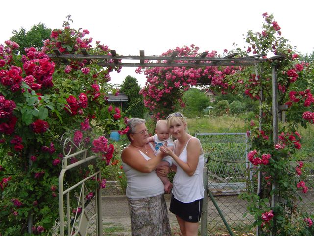 Najmłodsza gałąź rodu...