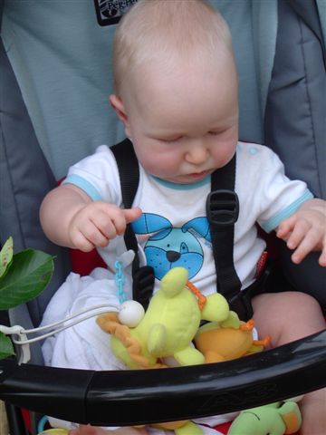 Moje małe zoo, oooo...;)