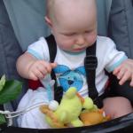 Moje małe zoo, oooo...;)