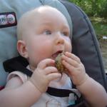 Jedzenie szyszek  spowoduje, że...