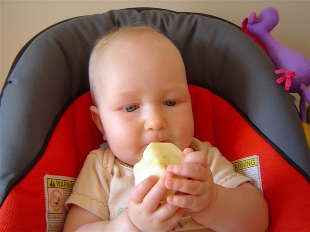 Wpatrzony jak sroka w...