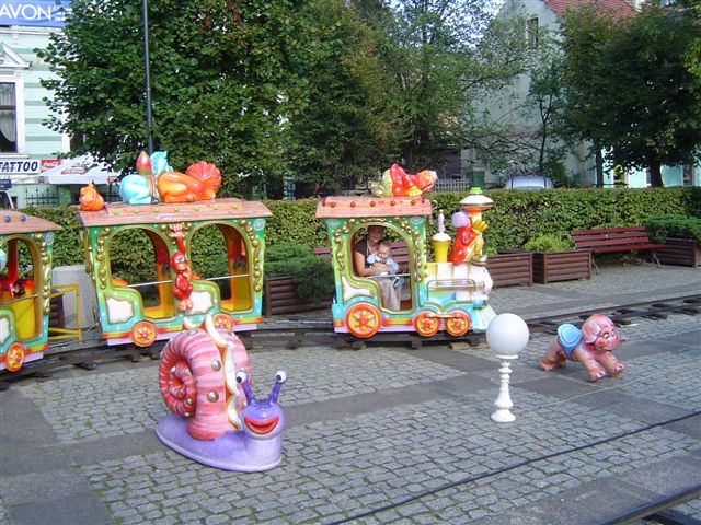 Taak, widok tego ślimaka