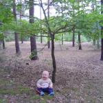 Patrzcie, co tu wyrosło!