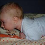 Szybko, szybko, róbcie zdjęcie!